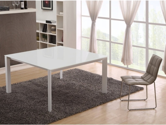 NAPLES COLLECTION GLASS DINING TABLE CB-8740 BY CASABIANCA HOME